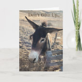 あきらめないで下さい。 やる気を起こさせる カード (正面)