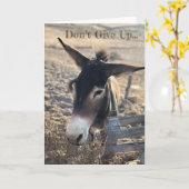 あきらめないで下さい。 やる気を起こさせる カード (黄色い花)