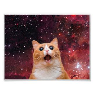 あきれた宇宙猫 フォトプリント