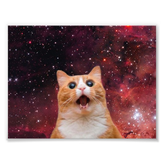 あきれた宇宙猫 フォトプリント            (正面)