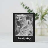 あくびするコアラ ポストカード (スタンド正面)