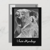 あくびするコアラ ポストカード (正面/裏面)