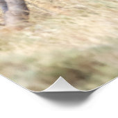 あくびするライオン ポスター (コーナー)