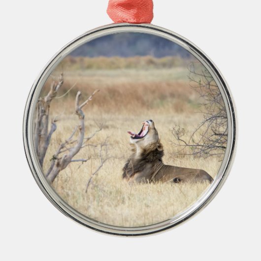 あくびするライオン メタルオーナメント (正面)