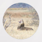 あくびするライオン ラベル (デザイン2)