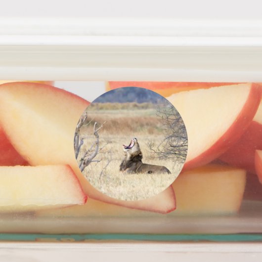 あくびするライオン ラベル (貼付)