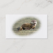 あくびをしているかわいいベビーのカワウソ 名刺 (裏面)