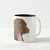 あくびをしている4ヶ月のチョコレート実験室の子犬 ツートーンマグカップ (正面右)