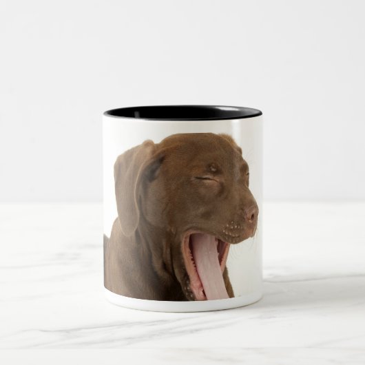 あくびをしている4ヶ月のチョコレート実験室の子犬 ツートーンマグカップ (中央)