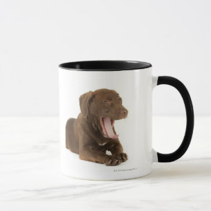 あくびをしている4ヶ月のチョコレート実験室の子犬 マグカップ