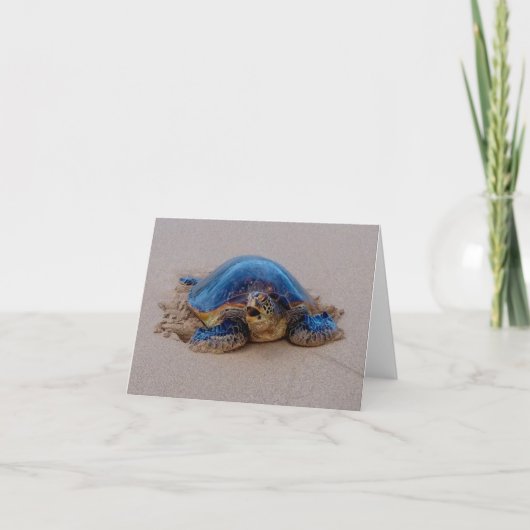 あくびをするウミガメ ノートカード (正面)