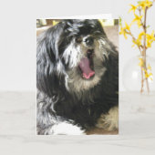 あくびをするカズ私は40歳の誕生日に退屈している カード (黄色い花)