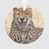 あくびをするチーター オーナメント (裏面)
