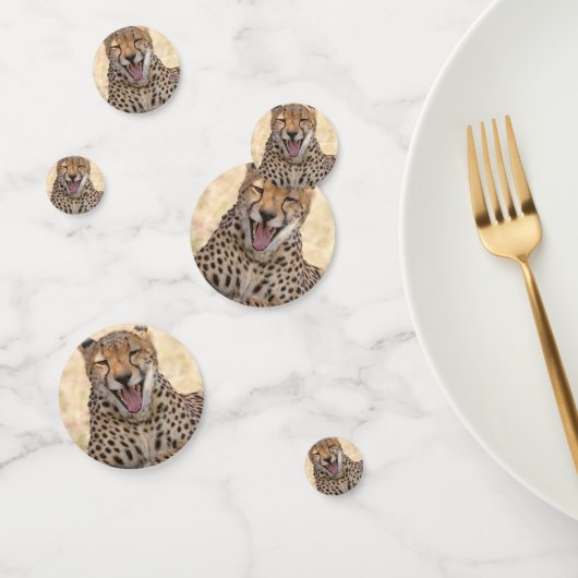 あくびをするチーター コンフェッティ (グループ)