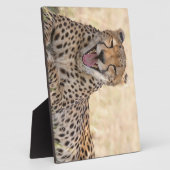 あくびをするチーター フォトプラーク (側面)