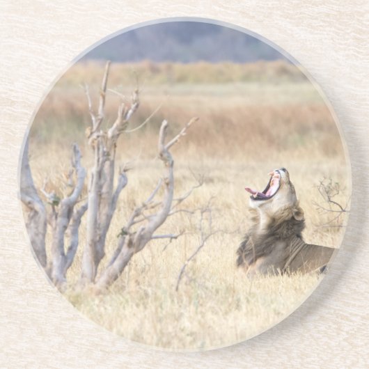 あくびをするライオン コースター (正面)