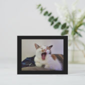 あくびをする三毛猫 ポストカード (スタンド正面)