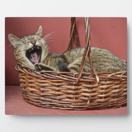 あくびをする子ネコ フォトプラーク