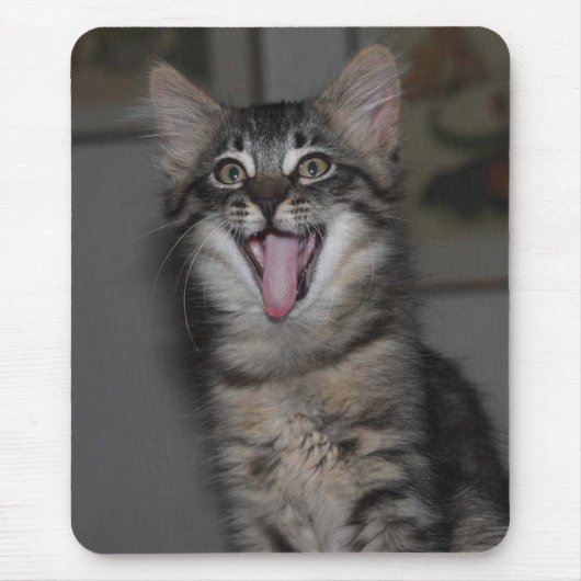 あくびをする子猫のマウスパッド マウスパッド (正面)