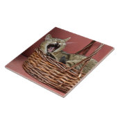 あくびをする猫タイル タイル (側面)