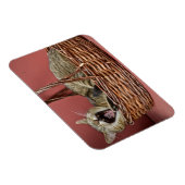 あくびをする猫マグネット マグネット (右側)