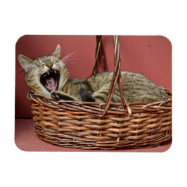あくびをする猫マグネット マグネット