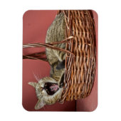 あくびをする猫マグネット マグネット (縦)