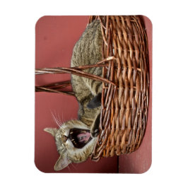 あくびをする猫マグネット マグネット