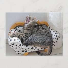あくびをする疲れた猫かわいいおもしろいはがき ポストカード
