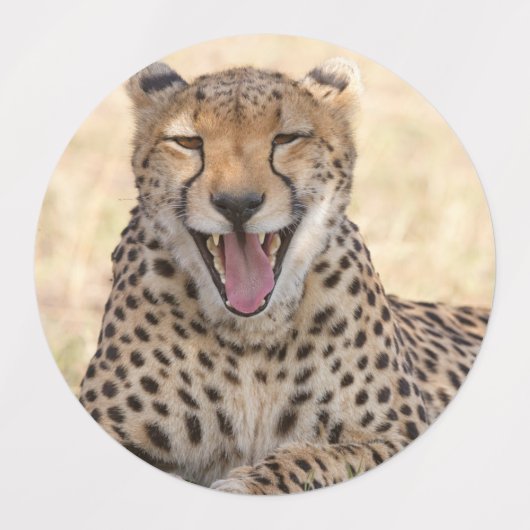 あくびチーター ラベル (デザイン1)
