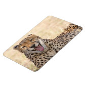 あくびチータ マグネット (左側)