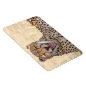 あくびチータ マグネット (右側)