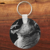 あくびライオン キーホルダー (正面)