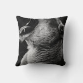 あくびライオン クッション (裏面)