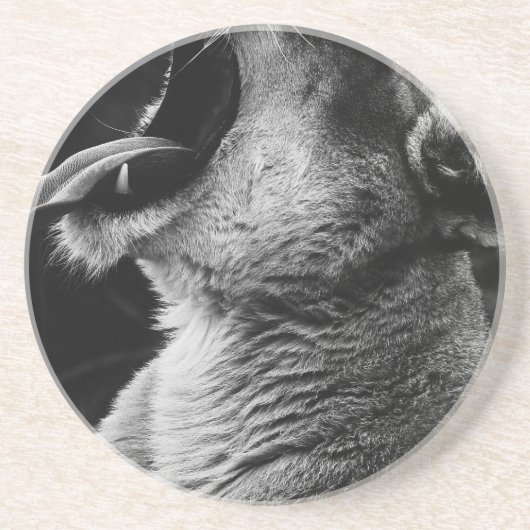 あくびライオン コースター (正面)