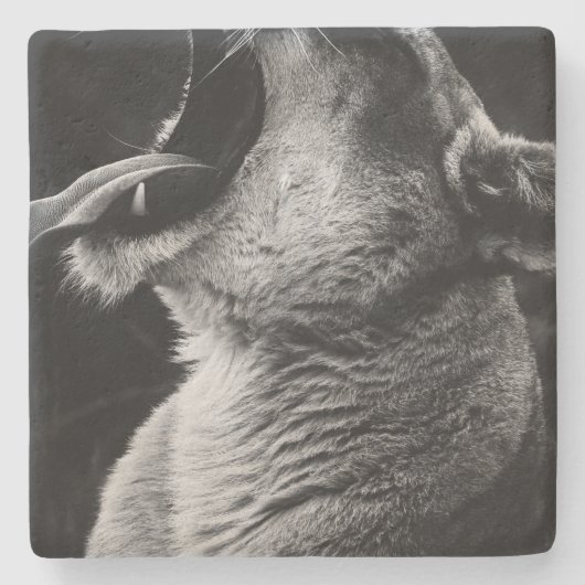 あくびライオン ストーンコースター (正面)