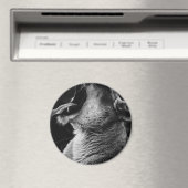 あくびライオン マグネット (インサイチュ (食洗機))