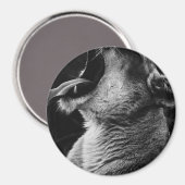 あくびライオン マグネット (正面/裏面)