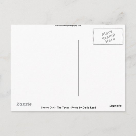 『あくび』 ポストカード (裏面)