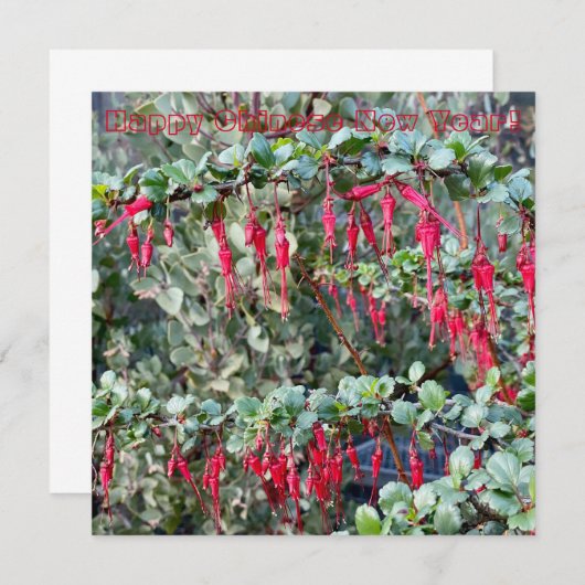 あけましておめでとうございます！（新年おめでとう） ノートカード (正面/裏面)