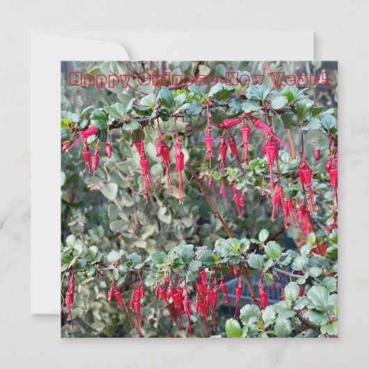 あけましておめでとうございます！（謹んで新年のお喜びを申し上げます） ノートカード (正面)