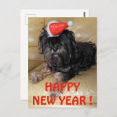 あけましておめでとう! ポストカード (正面/裏面)