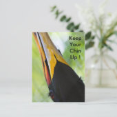 あご保あご葉書 ポストカード (スタンド正面)