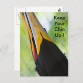 あご保あご葉書 ポストカード (正面/裏面)