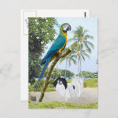 あご日本のとマカオ ポストカード (正面/裏面)