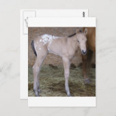 あざける ポストカード (正面/裏面)