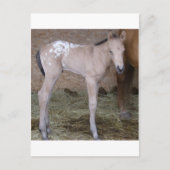 あざける ポストカード (正面)