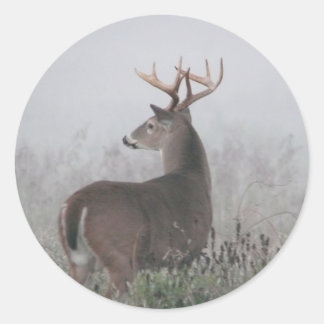 あざけ ラウンドシール