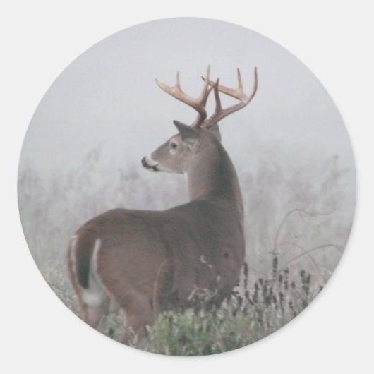 あざけ ラウンドシール (正面)