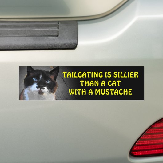 あしりは口ひげのある猫よりも絹らしい バンパーステッカー (車上)